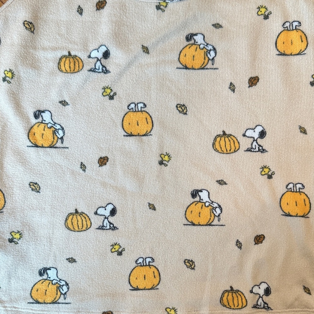 American Eagle Luxe Snoopy/Peanuts Lounge Set - Picture 4 of 7